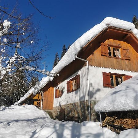 Pohorje House 2 Four Appartmetns Oplotnica Zewnętrze zdjęcie