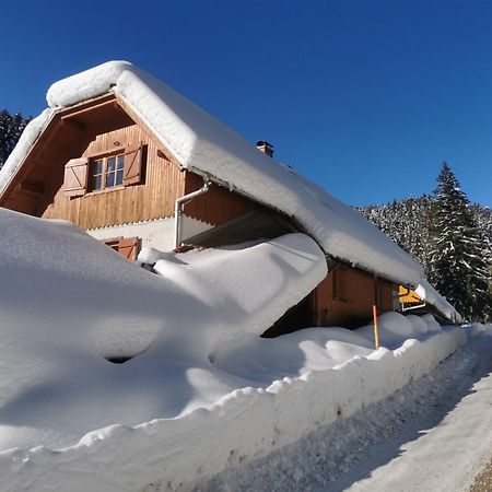 Pohorje House 2 Four Appartmetns Oplotnica Zewnętrze zdjęcie