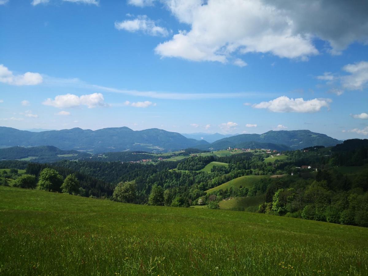 Pohorje House 2 Four Appartmetns Oplotnica Zewnętrze zdjęcie