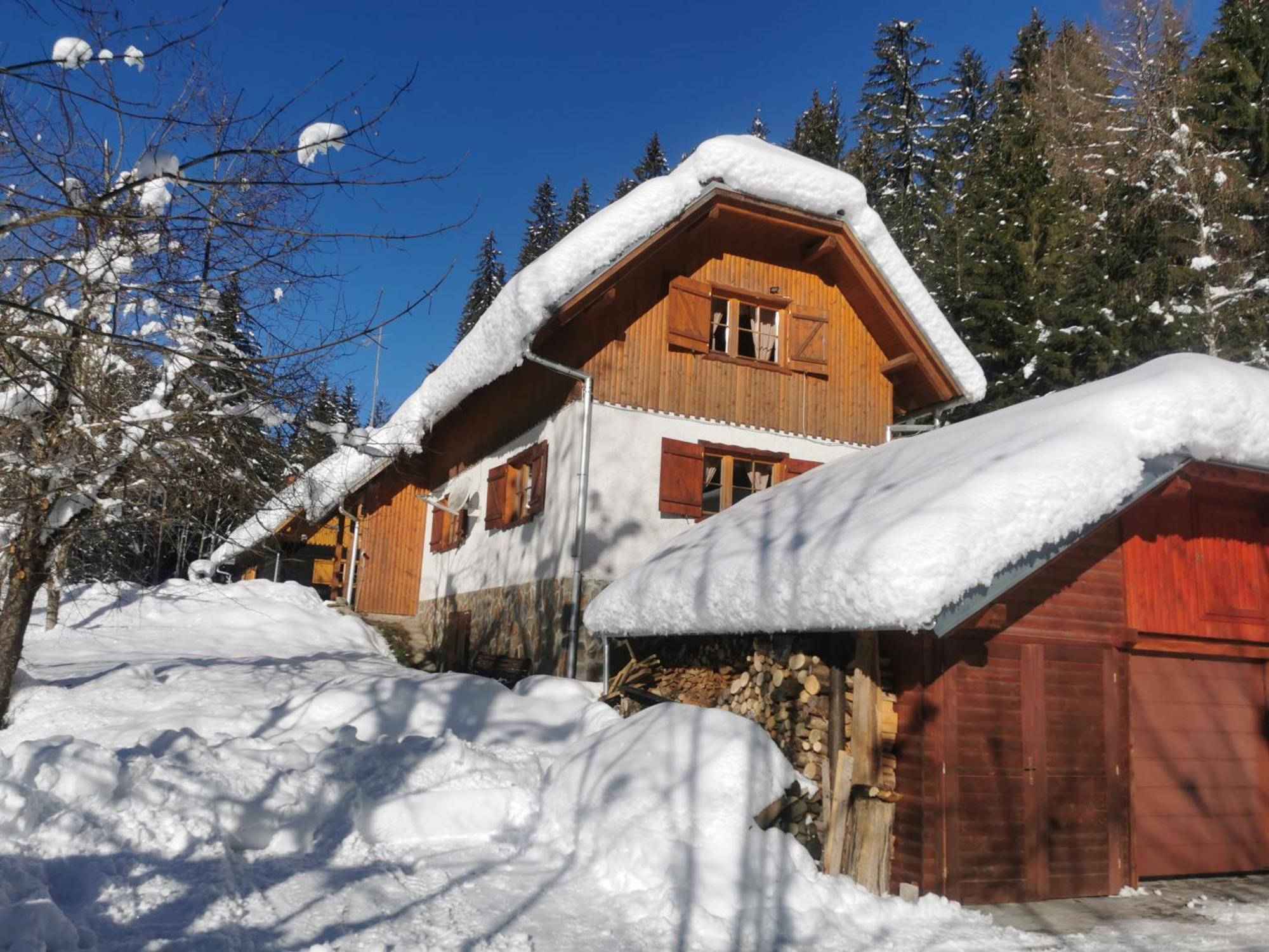 Pohorje House 2 Four Appartmetns Oplotnica Zewnętrze zdjęcie
