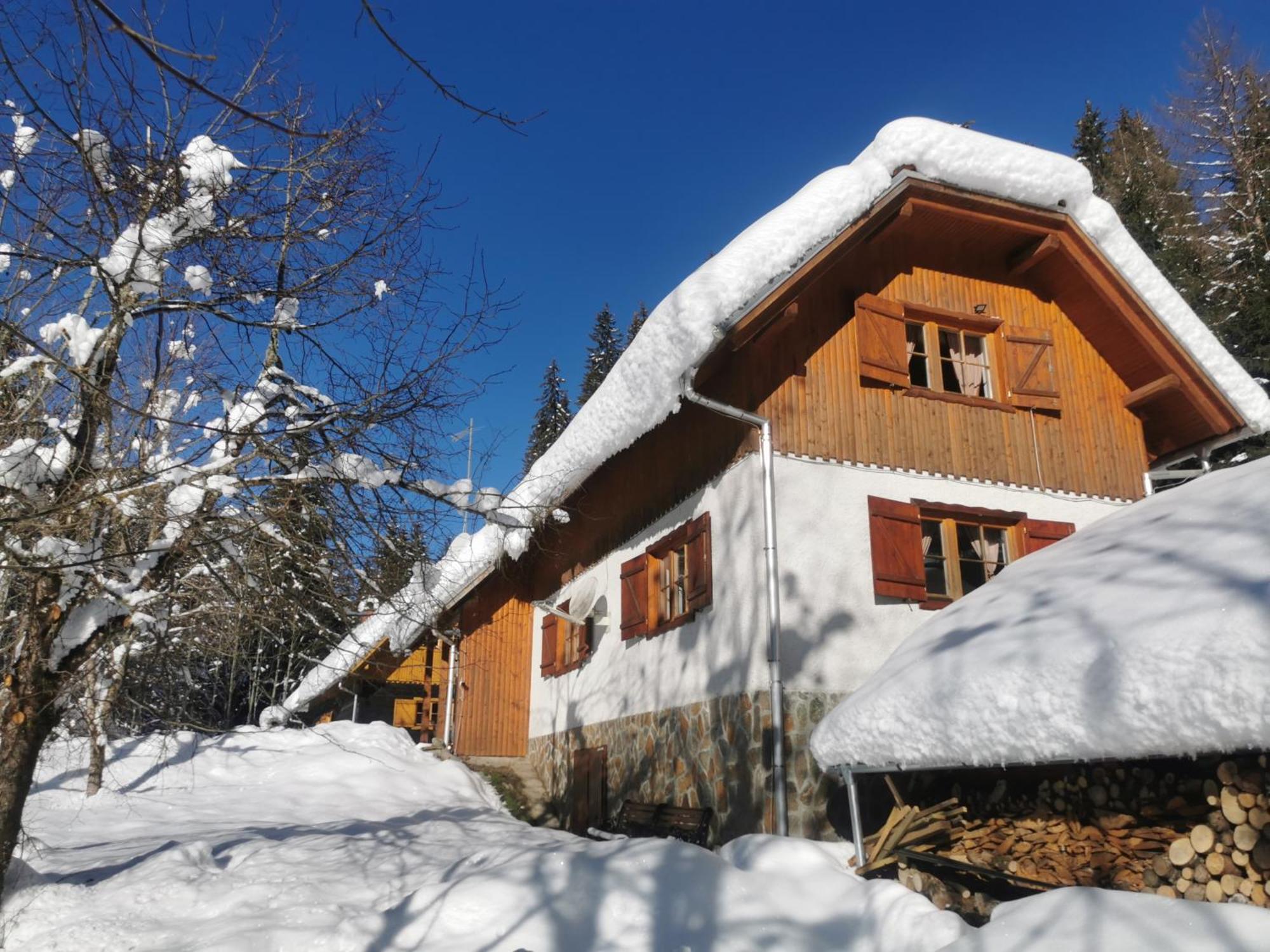 Pohorje House 2 Four Appartmetns Oplotnica Zewnętrze zdjęcie