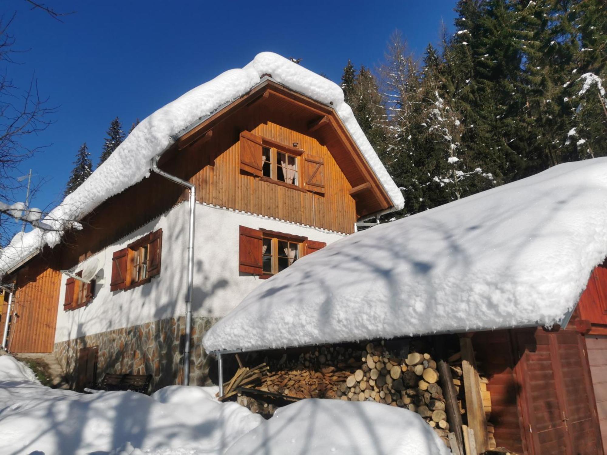 Pohorje House 2 Four Appartmetns Oplotnica Zewnętrze zdjęcie
