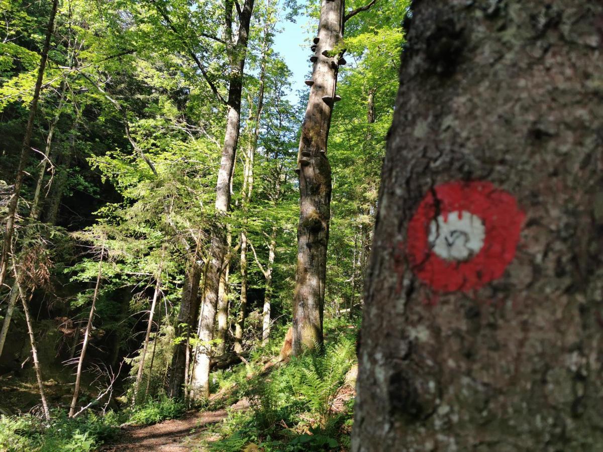 Pohorje House 2 Four Appartmetns Oplotnica Zewnętrze zdjęcie