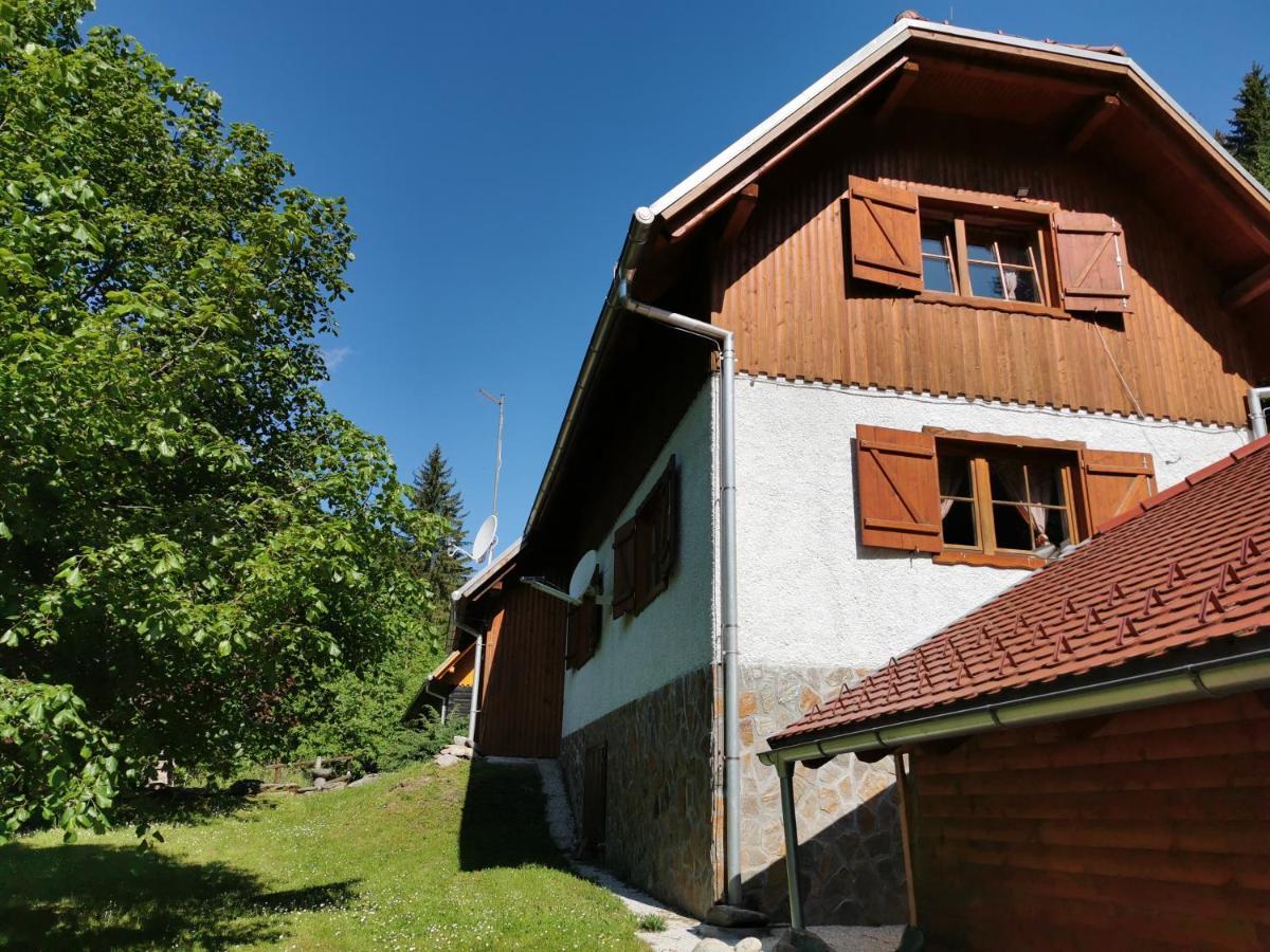 Pohorje House 2 Four Appartmetns Oplotnica Zewnętrze zdjęcie
